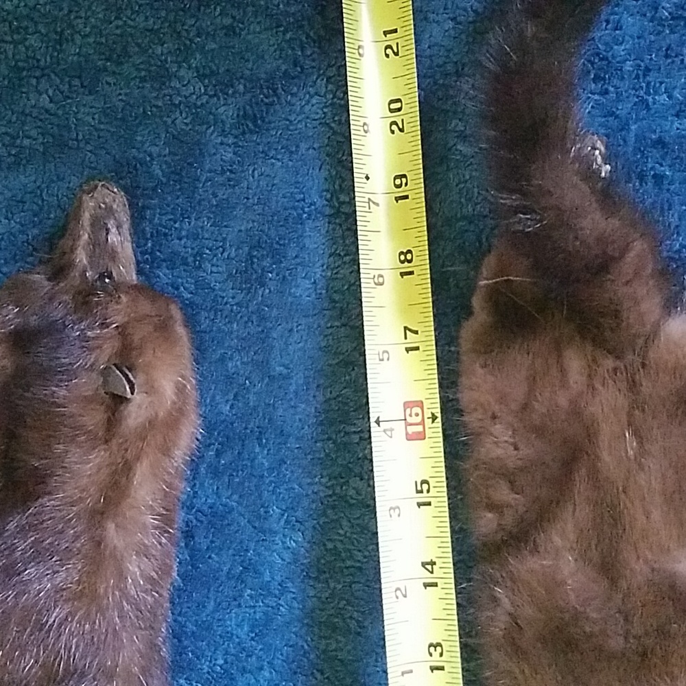 Mink full pelt stall - Picture 8 of 8